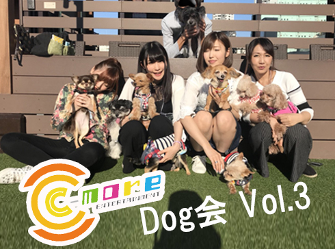 C-more Dog会